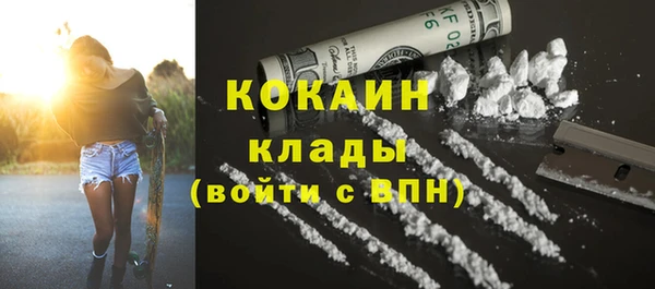 соль ск Алзамай