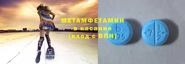 индика Алексин
