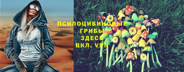 амф Алексеевка