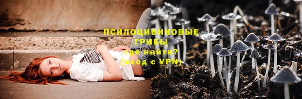 круглые Абаза