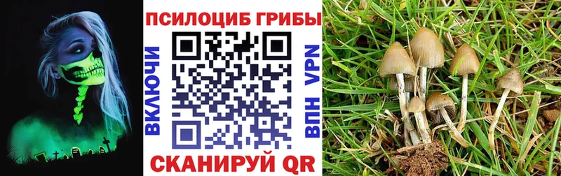 Галлюциногенные грибы MAGIC MUSHROOMS Брюховецкая